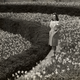 CIRCA 1950s: Woman standing in park with daffodils. (Photo by George Marks/Retrofile/Getty Images